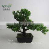 Indoor Bonsai,potted Evergreen Foliage, Decorative Landscape thumbnail-5