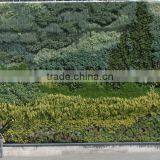 GNW GLW058 Best Plants for Vertical Garden Wall Ornament Flower Wall Decor