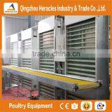 Hercles Trade Assurance Poultry Equipment Layer Egg Chicken Cage/poultry Farm House Design thumbnail-4