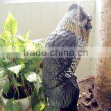 Eco-Friendly Owl Scarecrow Bird Repellent thumbnail-3