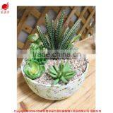 Artificial Succulents Artificial Mini Succulents Artificial Succulents Wholesale thumbnail-1