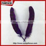 Reeves Cheap Natural Pheasant Tail Pheasant Feather for Sale thumbnail-2
