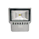 100W LED Flood Light (MS-FL100WB)