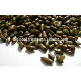 BEST PRICE FOR CASSIA SEED WITH GOOD QUALITY thumbnail-1