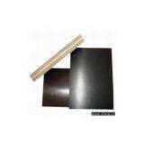Sell Film Faced Plywood in Black Color thumbnail-1