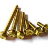 Titanium Flange Bolts