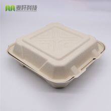 Disposable Biodegradable 9*9 3C Take Away Sugarcane Container thumbnail-3