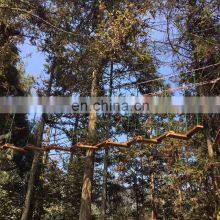 Climbing Equipment Back Yard Tree Tops Ropes Course Adventure