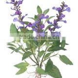Flower of 13"H Artificial Sage w/ Roots, High Quality Arificial Flower, Silk Flower