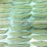 TY-503G Automatic Dumpling Making Machine Made In Taiwan thumbnail-3