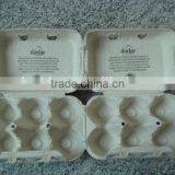 Paper Pulp Automatic Fruit Tray Production Line thumbnail-4