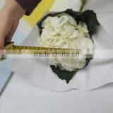 Wide Varieties Best Selling Fresh Hydrangea Flower thumbnail-2