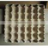 Egg Tray thumbnail-1