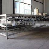 Roller Fruit Classifier thumbnail-2