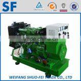 ac Three Phase Water Cooled Diesel Generator 15kw