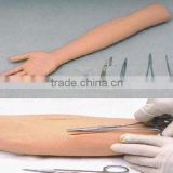 MCT-KC-008 Surgical Suture Arm Model