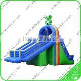 Water Slide for Family Swimming Pool