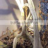 Fashion Window Diplay Decoration Tree Trunk Supplies thumbnail-3