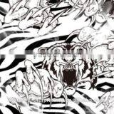 Water Transfer Printing Film