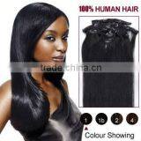 2015 Clip on Hair 100% Human Hair thumbnail-2