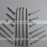 Cheap Price Flat Head Common Iron Nail Wire Nail/Common Iron Wire Nail
