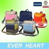 Doube Cooler Bag Food Fresh Bag 2015