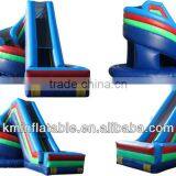 Giant Inflatable Water Slide Twister