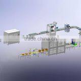 Automatic Detergent Packing Line thumbnail-5