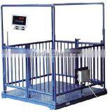 With High Precision GS7628 Electronic Animal Scale thumbnail-1