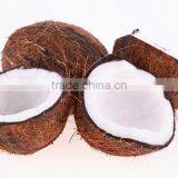 Coconut Copra - Husk coconut- High Quality and Best Price