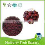 Mulberry Fruit Juice Concentrate Powder thumbnail-1