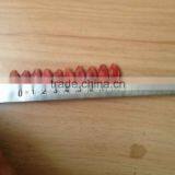 Big Size Red Watermelon Seeds