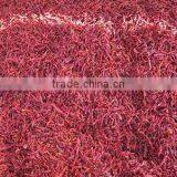 XIAN Chili, Wrinkle Xian Chili, Dried Xian Chili, XIAN Chili Stemless, Xian Chili no Stems, Xian Chili New thumbnail-3