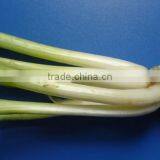 Fistular Onion Stalk,100% Natural Chinese Herb Medicine,Raw,Tea Bag Cut,Powder thumbnail-1