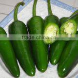Small Hot Pepper/Chilli Seed Bullet No.2 thumbnail-6