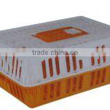 Poultry Chicken Transport Crate for Live/adult Chicken thumbnail-1