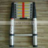 2012 Hot Sale Aluminum Telescopic Ladder