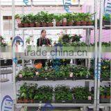 334 Glasshouse Trolley thumbnail-5