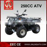 EEC Approval ,cheap Atv for Sale , CVT Four Wheel Bike thumbnail-1