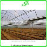Hot Dipped Galvanzied Arch Pipes Greenhouse thumbnail-4