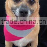 Yellow MEDIUM Reflective Fluorescent Dog Bandana Slip Onto Collar thumbnail-1