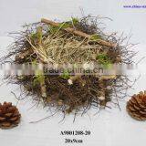 Birdnest for Garden thumbnail-1