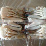 Best Quality Seafood and Live Frozen Blue Crab thumbnail-1