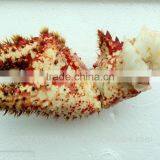Hairy Snow Crab Antarctica thumbnail-4