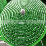 Great Services Gold- Rush Grass With 100% Quality thumbnail-2