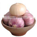 China Garlic Price for Wholesale Buyer thumbnail-2