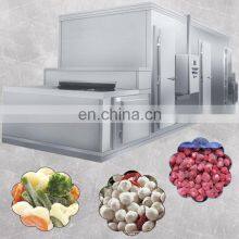 1000kg Frozen Fruit Vegetable Processing Line Price/iqf Freezer Vegetables Line thumbnail-3