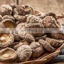 Organic Dried Shiitake Mushroom for Cooking/High Quality Flower Mushroom/Best Prices Dried Shiitake Mushroom From Vietnam thumbnail-5