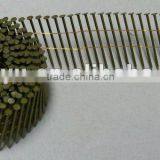 Coil Nail/fuyu