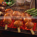 All Sizable Eco-friendly Teppo Kushi Skewer With Handle